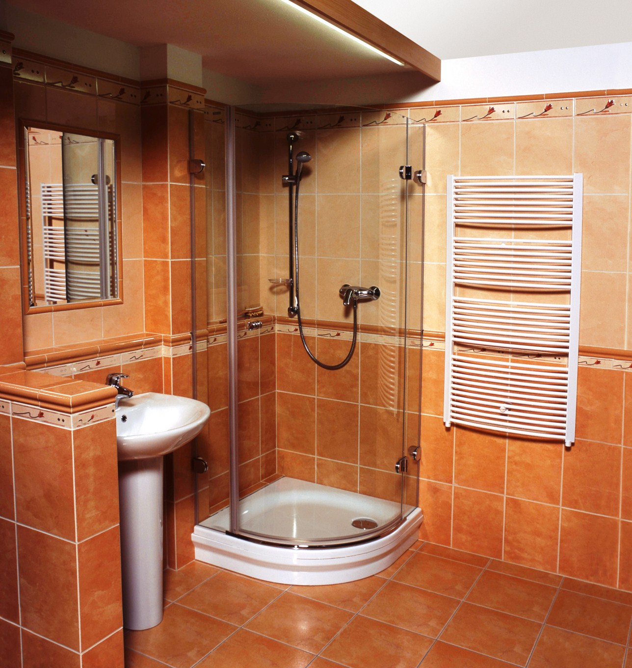 Design de salle de bain à la mode avec douche intégrée