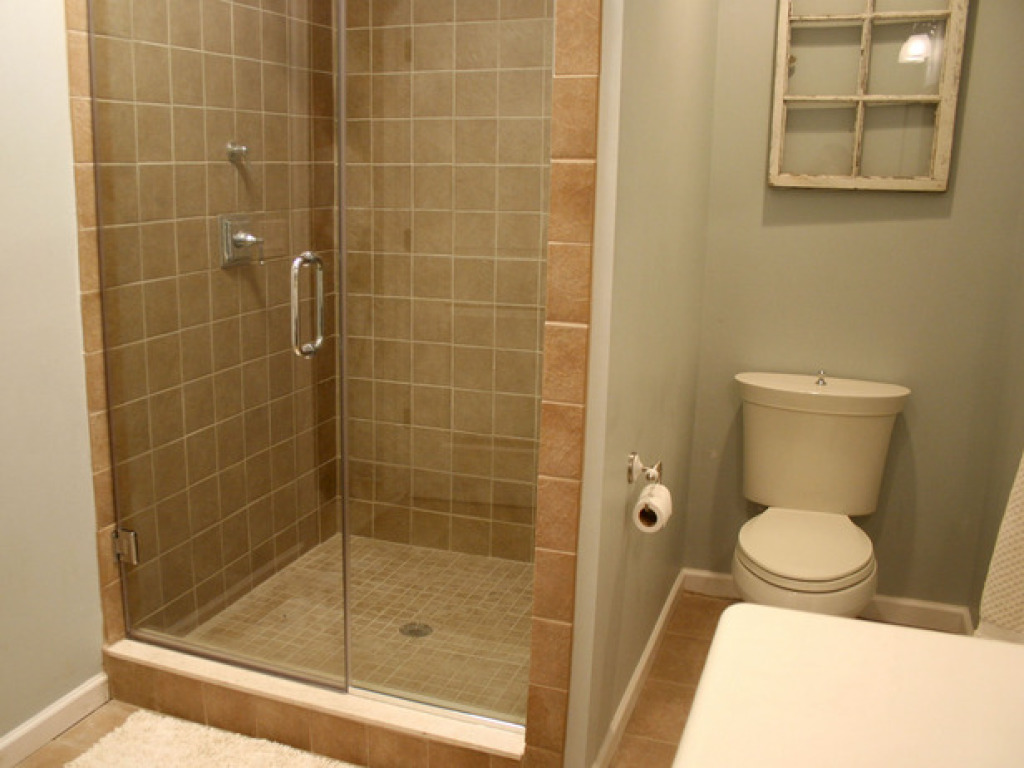 La combinaison de la douche et du bain dans un style