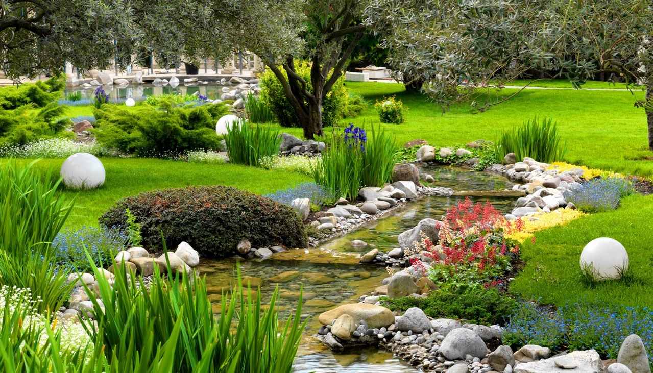 grandes fleurs de conifères de taille moyenne dans l'aménagement paysager d'un chalet d'été