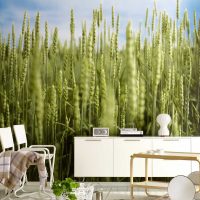 peinture murale en vinyle dans le couloir photo