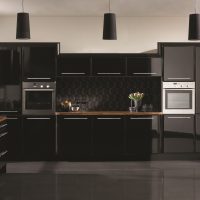 style inhabituel de la cuisine en photo couleur noire
