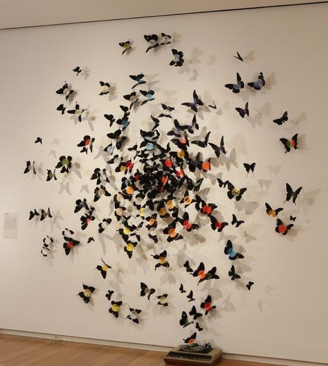 beaux papillons dans la conception de la cuisine