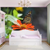 beaux papillons à l'intérieur de la photo du couloir
