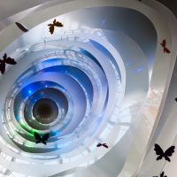 beaux papillons à l'intérieur de la photo de la chambre