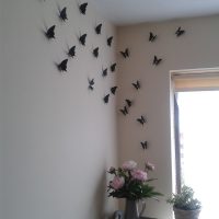 papillons insolites dans le style de la photo de cuisine
