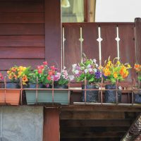 fleurs chic à l'intérieur du balcon sur les étagères design picture