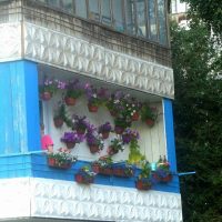 belles fleurs sur le balcon sur l'image des cavaliers
