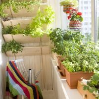belles fleurs sur le balcon sur les étagères design picture
