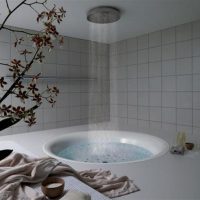 brillante diseño de un baño con ducha en colores oscuros foto