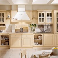 design lumineux de la cuisine beige dans le style de photo shabby chic