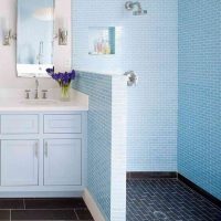 baño de estilo hermoso con ducha de colores claros