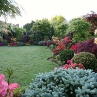 décor de paysage insolite de la cour à l'anglaise avec photo de fleurs
