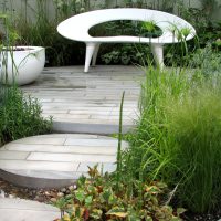 bel aménagement paysager du jardin à l'anglaise avec photo d'arbres