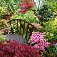 décor de paysage inhabituel d'un chalet d'été à l'anglaise avec photo de fleurs