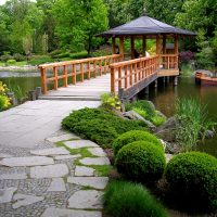 aménagement paysager chic du jardin à l'anglaise avec photo d'arbres