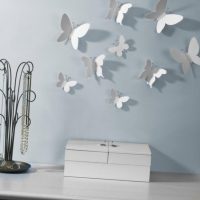 beaux papillons dans la conception du couloir photo
