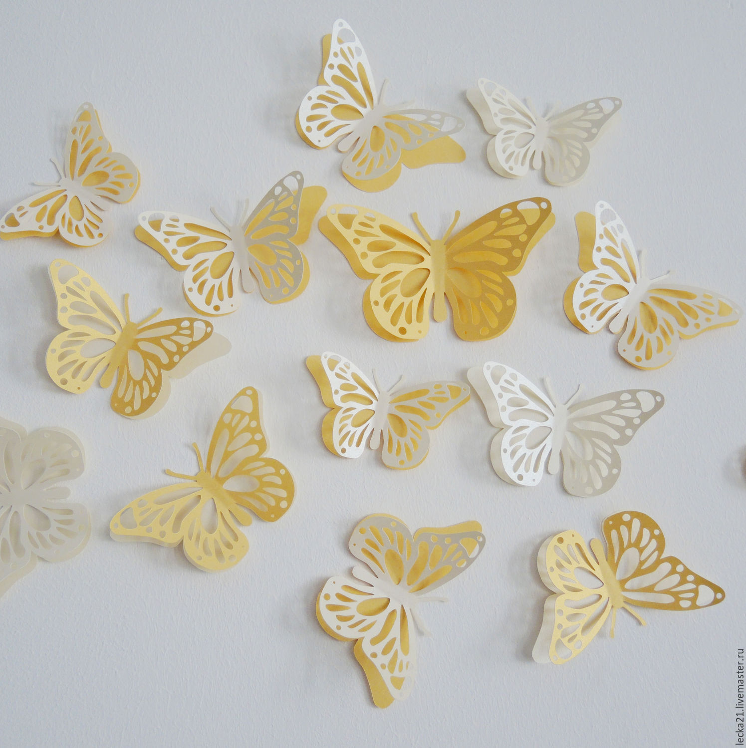 beaux papillons à l'intérieur de la pépinière