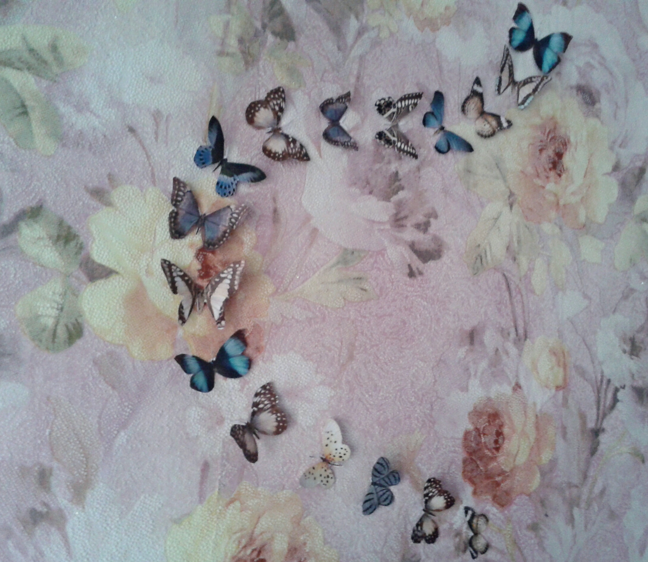 papillons inhabituels dans le style du couloir
