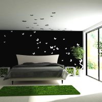 papillons inhabituels dans la conception de la photo du couloir