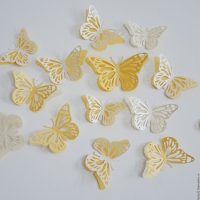 beaux papillons à l'intérieur du couloir photo