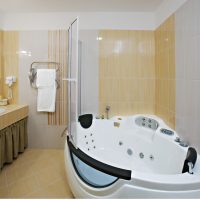 interior brillante de un baño con ducha en colores oscuros photo