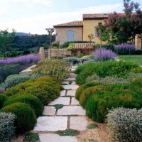 aménagement paysager insolite du jardin à l'anglaise avec photo de fleurs