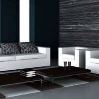 style de chambre lumineuse en photo couleur noir et blanc