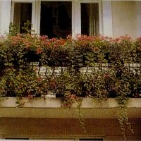fleurs chic sur le balcon sur les pulls photo échantillon