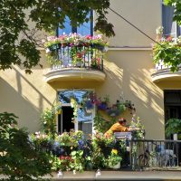 fleurs lumineuses à l'intérieur du balcon sur les étagères exemple d'image