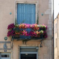 fleurs lumineuses à l'intérieur du balcon sur les étagères design picture