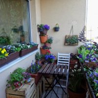 belles fleurs à l'intérieur du balcon sur la photo intérieure des linteaux