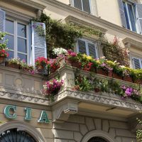 fleurs lumineuses sur le balcon sur les étagères