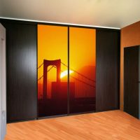 intérieur d'une armoire dans une chambre à coucher en bois