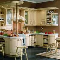 design lumineux de cuisine beige en photo de style classique