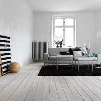 bel appartement design dans les tons blancs photo