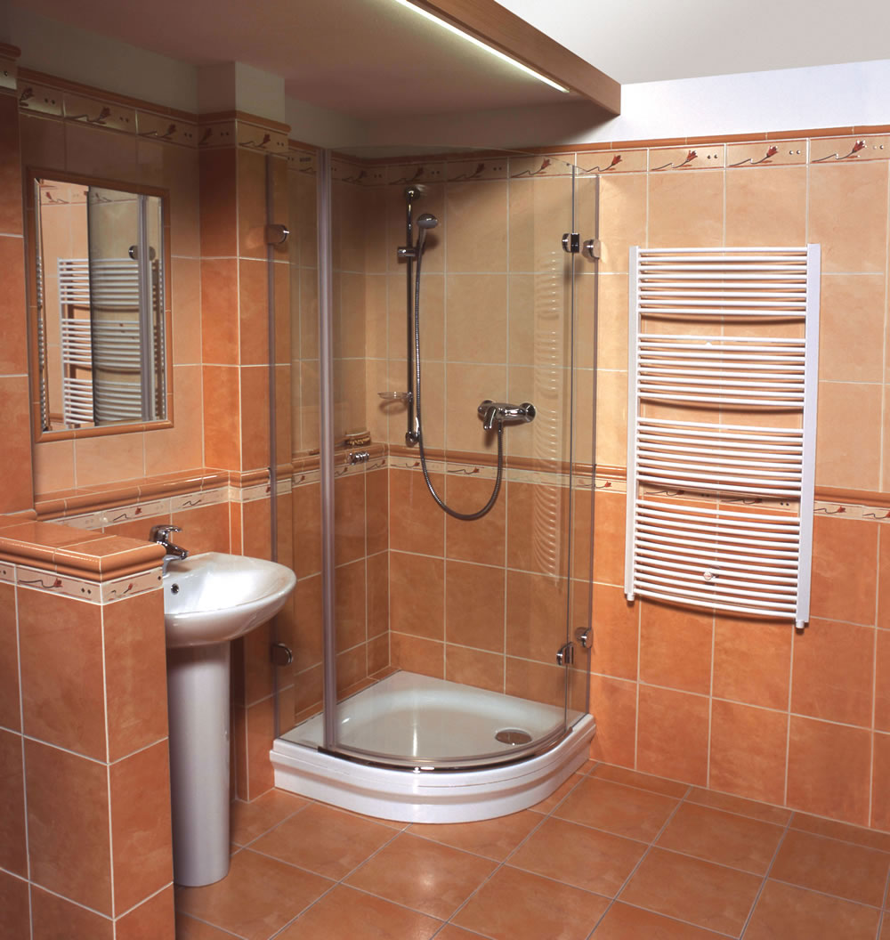 hermoso estilo del baño con ducha en colores oscuros