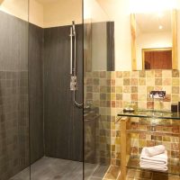 decoración luminosa del baño con ducha de color claro
