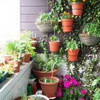 fleurs chic sur le balcon sur les étagères photo intérieure