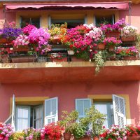 fleurs chic sur le balcon sur l'image des cavaliers