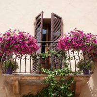 fleurs lumineuses sur le balcon sur les étagères design photo