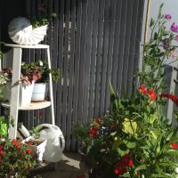 fleurs chic à l'intérieur du balcon sur les étagères exemple de photo