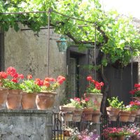 fleurs lumineuses à l'intérieur du balcon sur la photo intérieure de linteaux