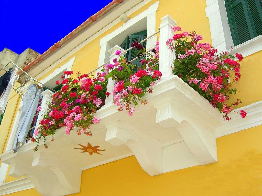 Fleurs chics à l'intérieur du balcon sur les linteaux par exemple