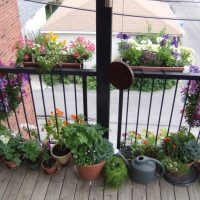 fleurs lumineuses à l'intérieur du balcon sur les étagères design photo
