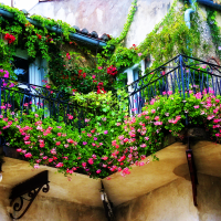 photo de belles fleurs sur le balcon sur les étagères