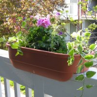 fleurs chic sur le balcon sur les étagères exemple de photo