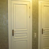 portes de chambre de style sombre image