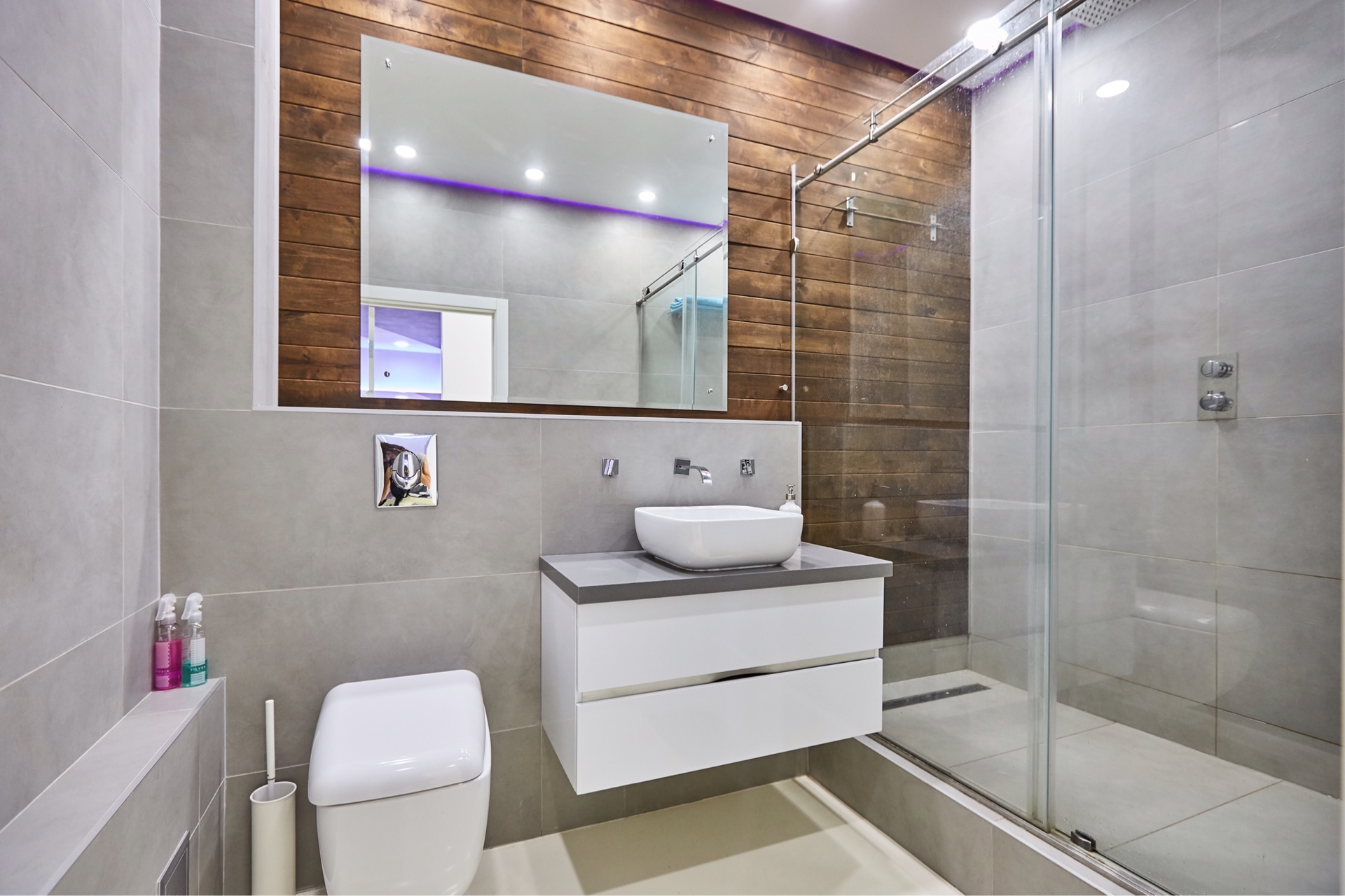decoración ligera del baño con ducha oscura