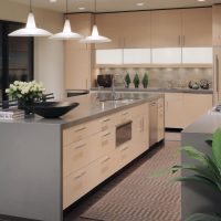 design lumineux de cuisine beige dans un style photo classique