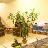 magnifique décor de printemps à l'intérieur du couloir